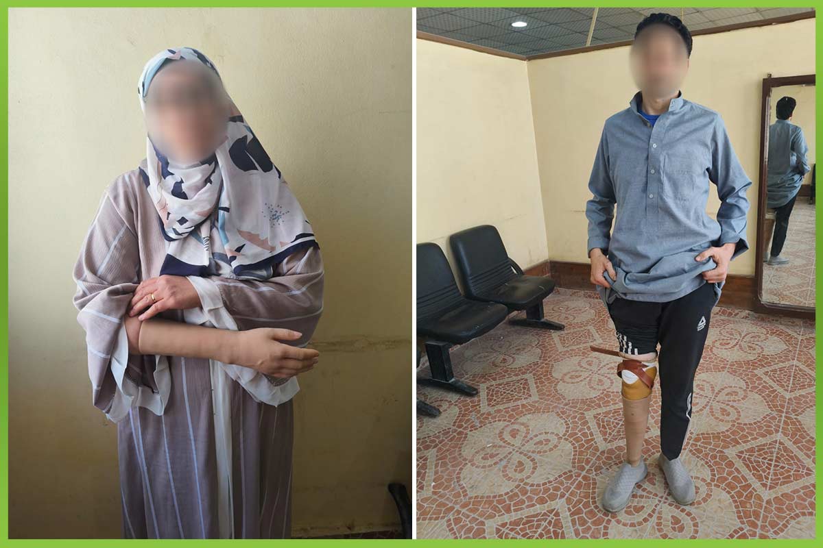 المؤسسة العربية الافريقية