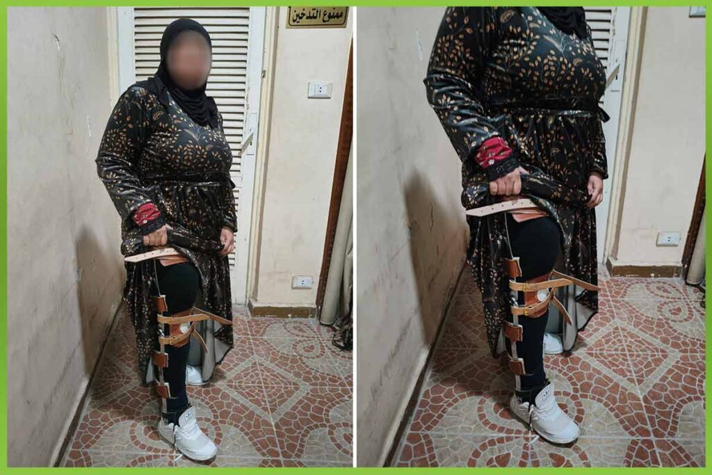المؤسسة العربية الافريقية