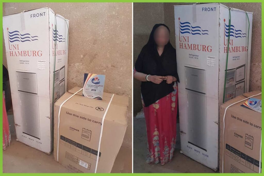 المؤسسة العربية الافريقية