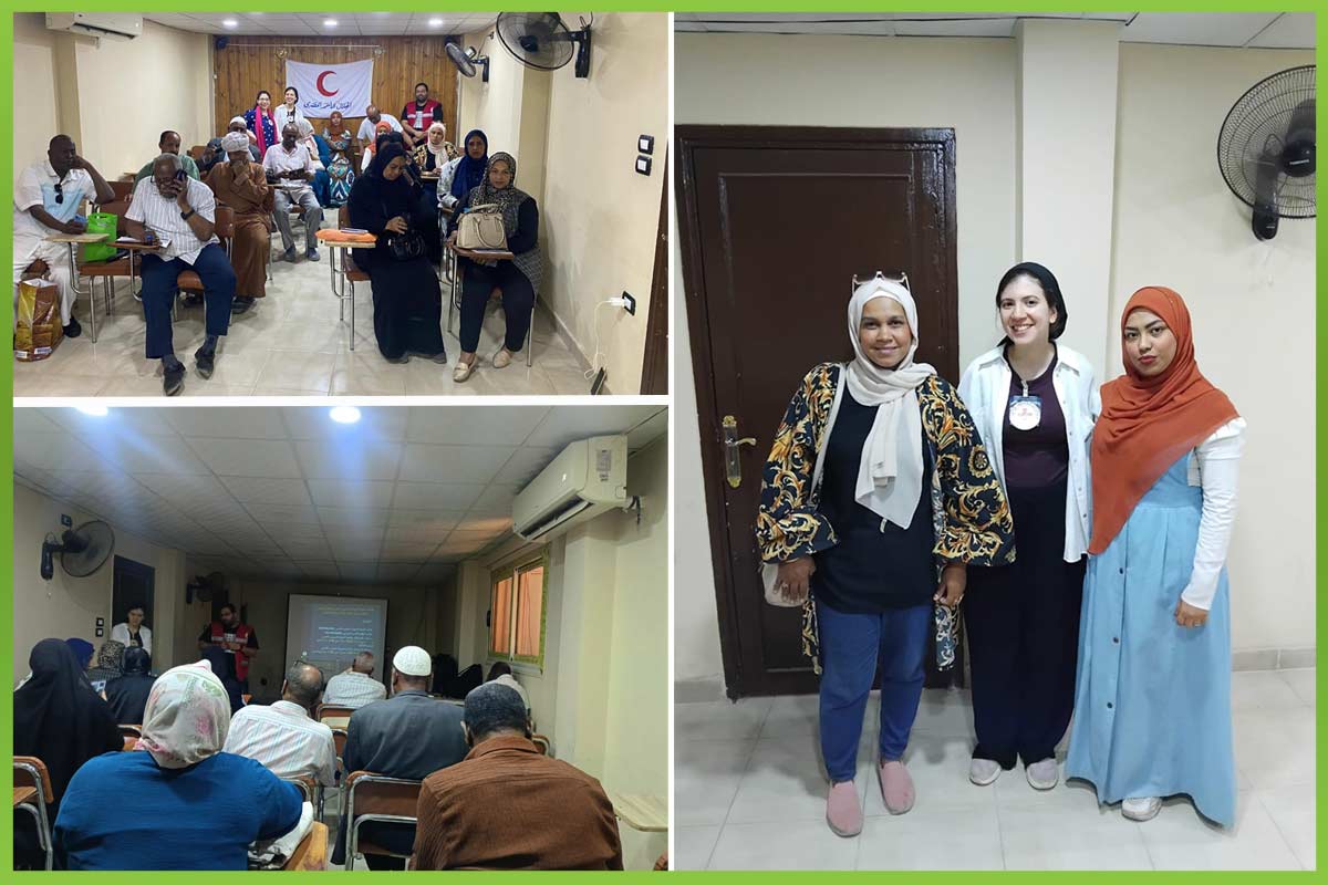 المؤسسة العربية الافريقية