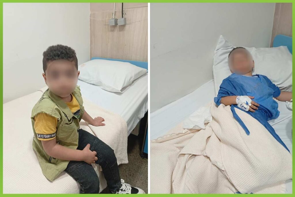 المؤسسة العربية الافريقية