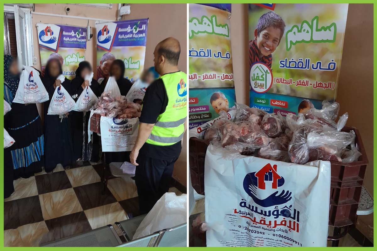 المؤسسة العربية الافريقية