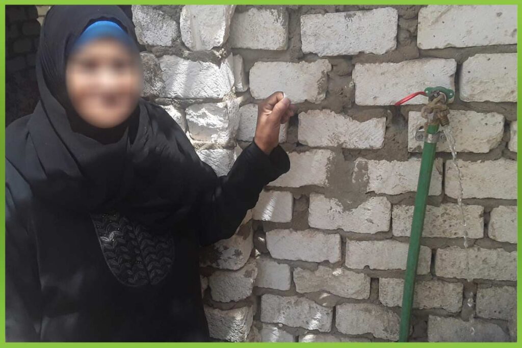 المؤسسة العربية الافريقية