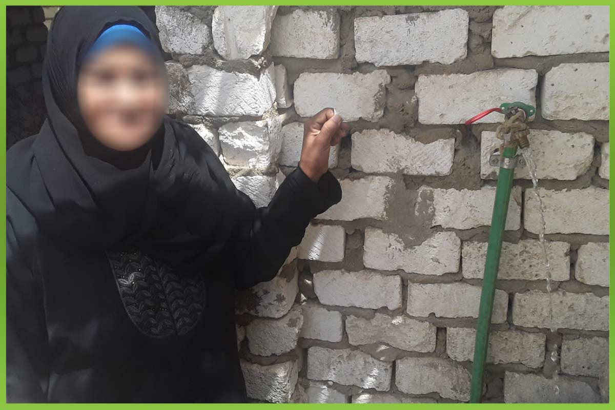 المؤسسة العربية الافريقية