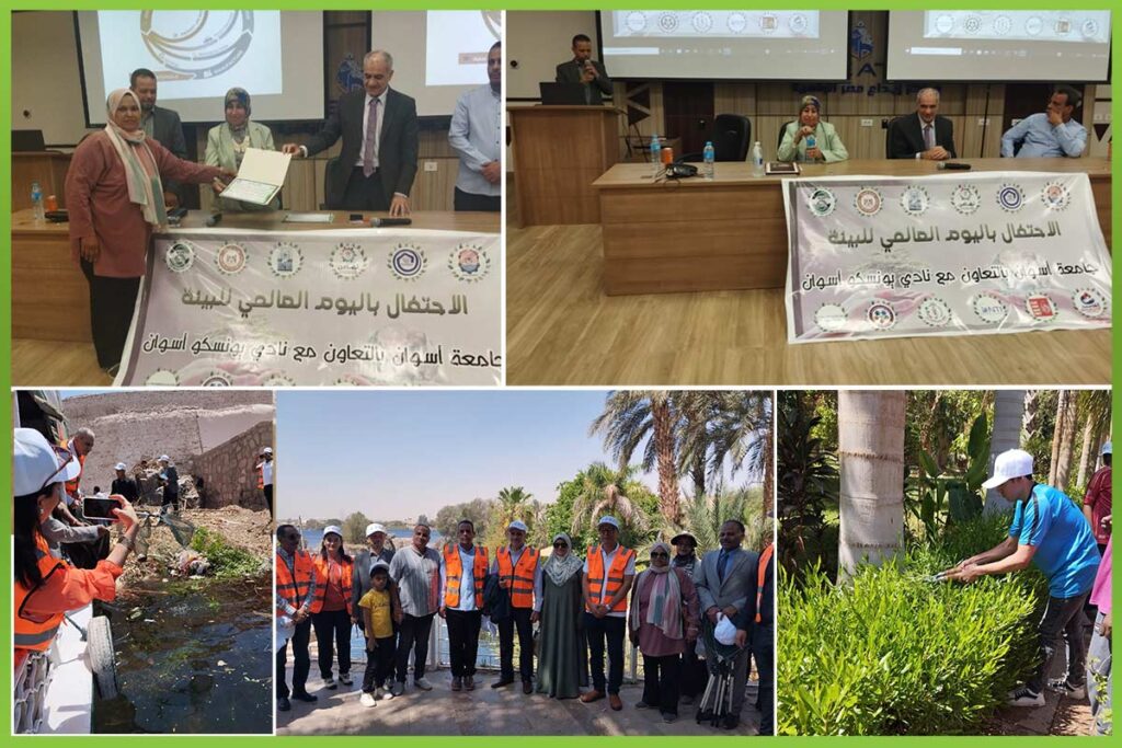 المؤسسة العربية الافريقية