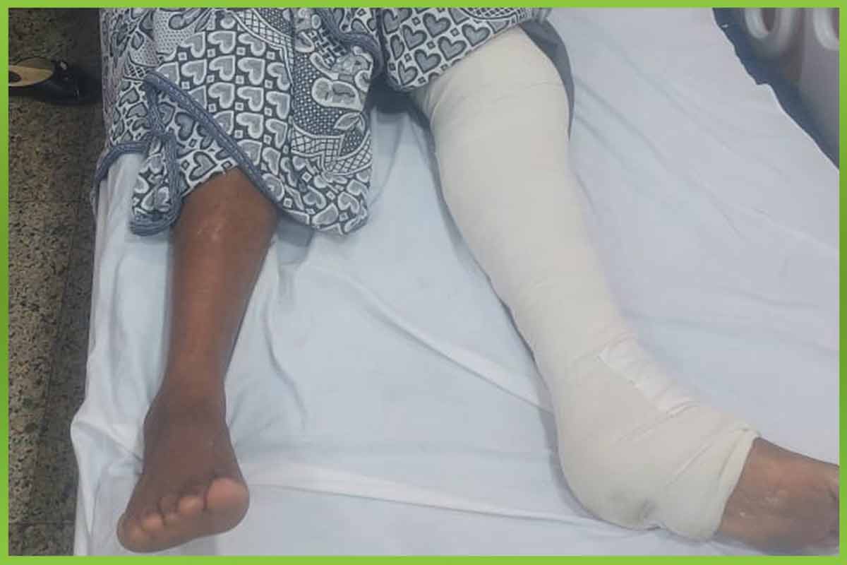 المؤسسة العربية الافريقية