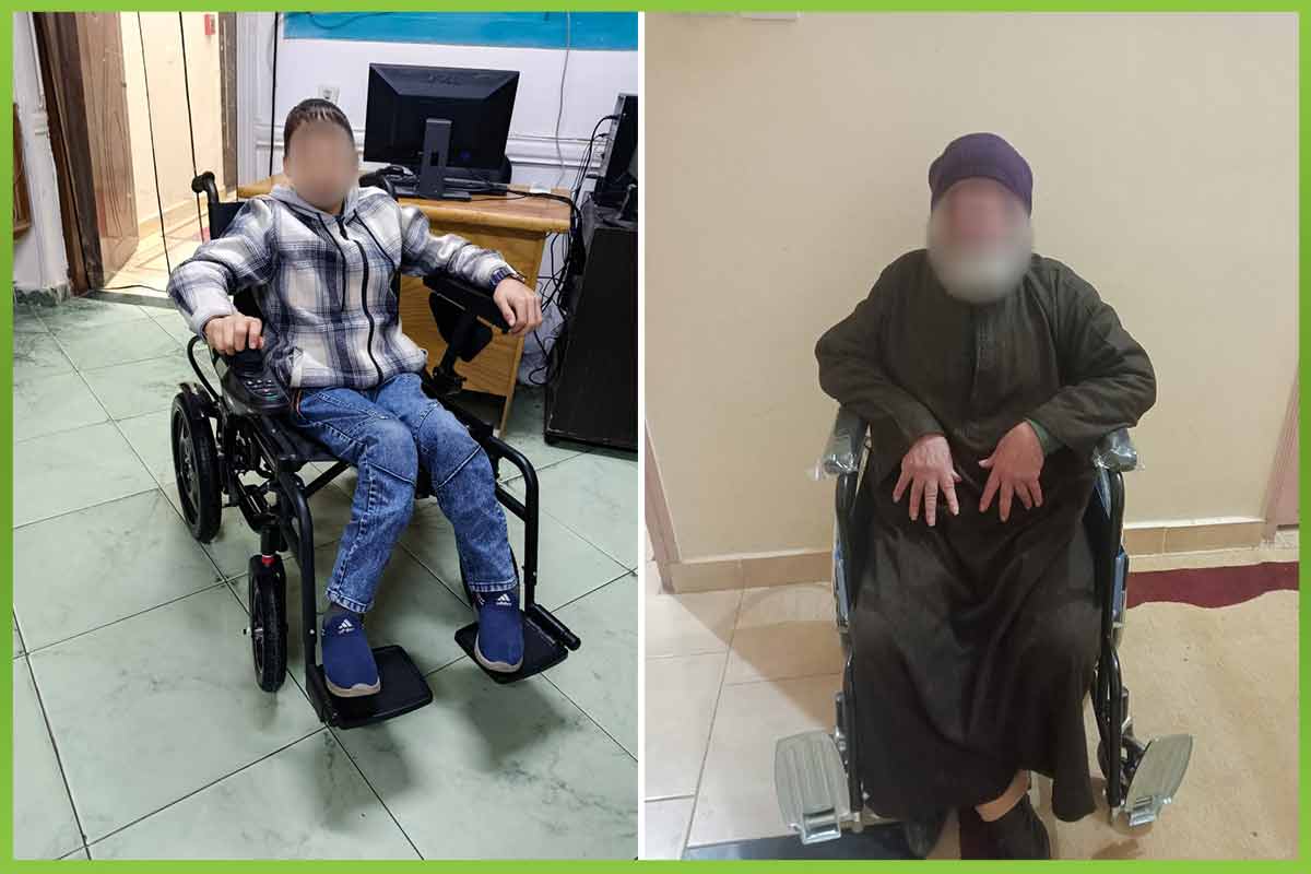 المؤسسة العربية الافريقية