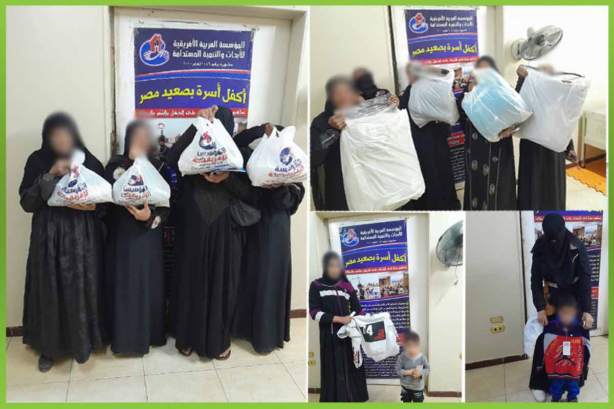 المؤسسة العربية الافريقية