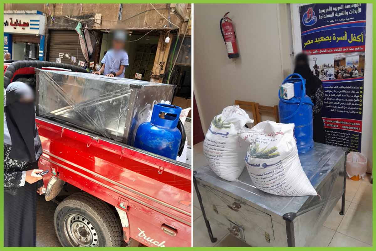 المؤسسه العربية الافريقية