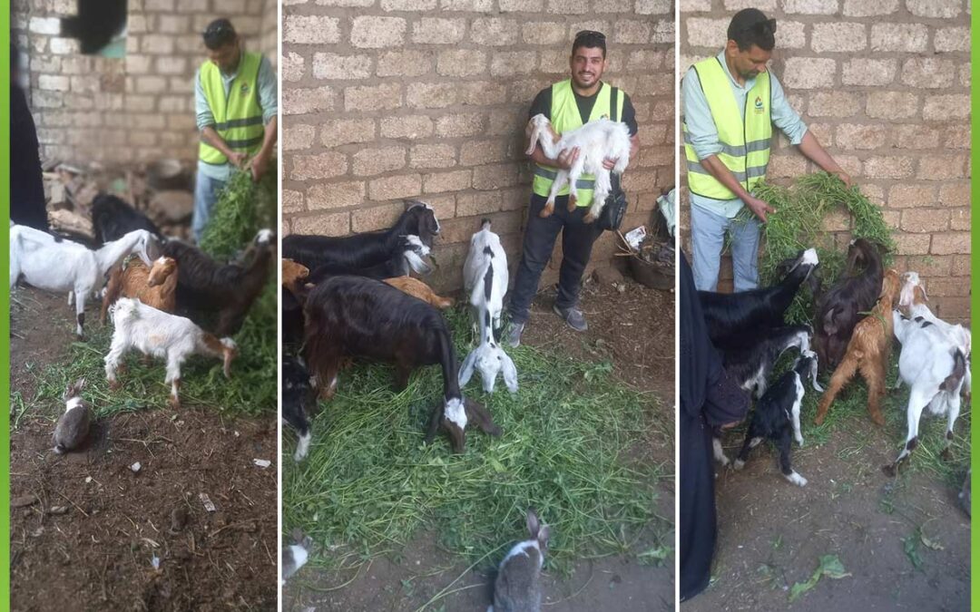 الافريقية توفر مشاريع صغيرة لدعم الأسر الأشد إحتياجا