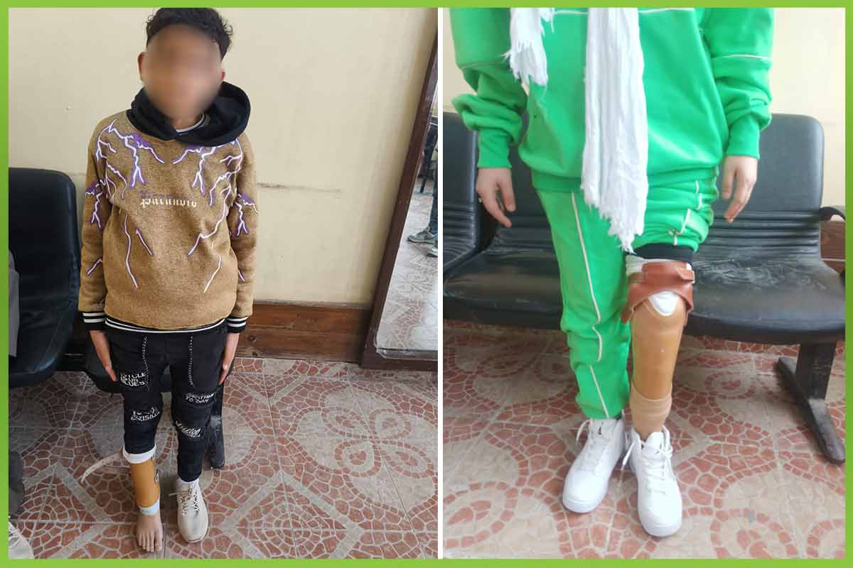 المؤسسة العربية الافريقية