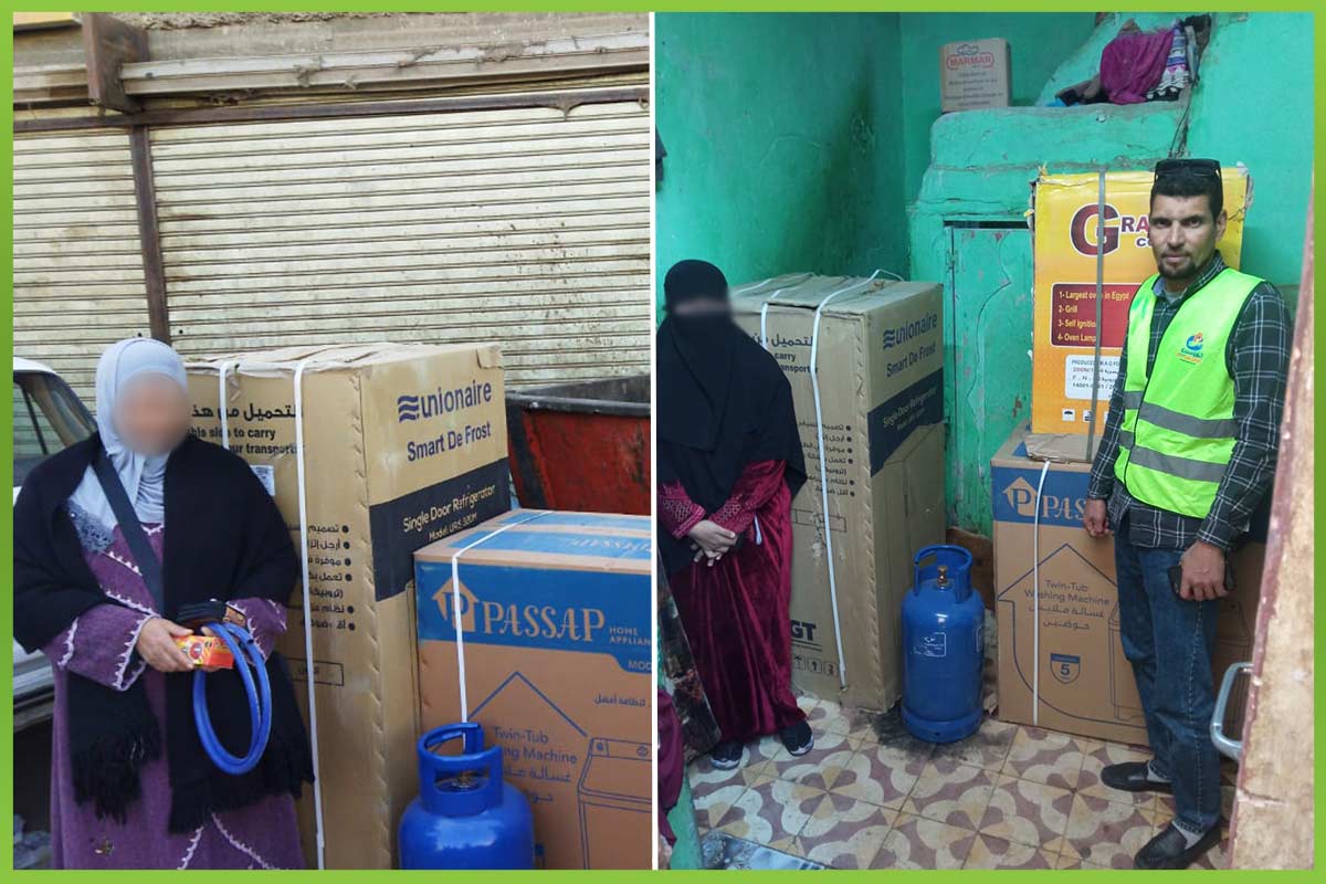 المؤسسة العربية الافريقية