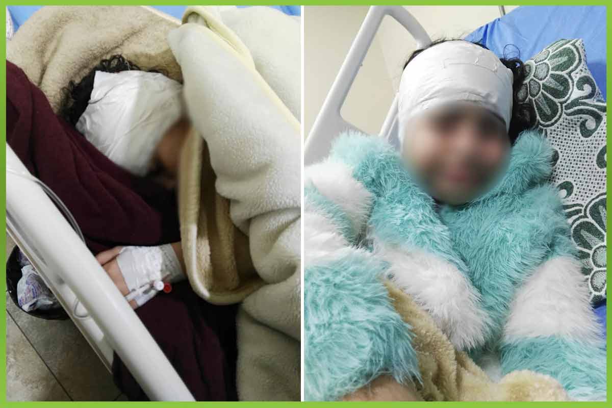 المؤسسة العربية الافريقية