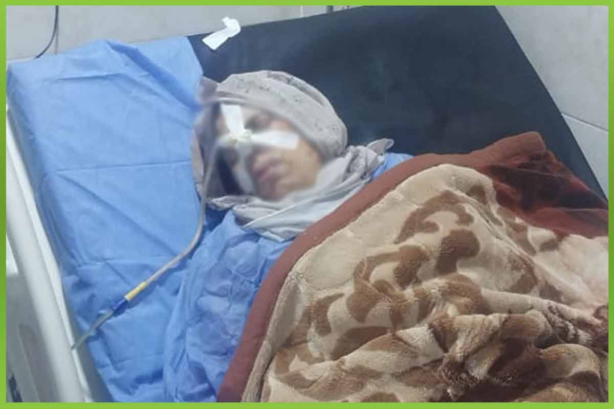 المؤسسة العربية الافريقية