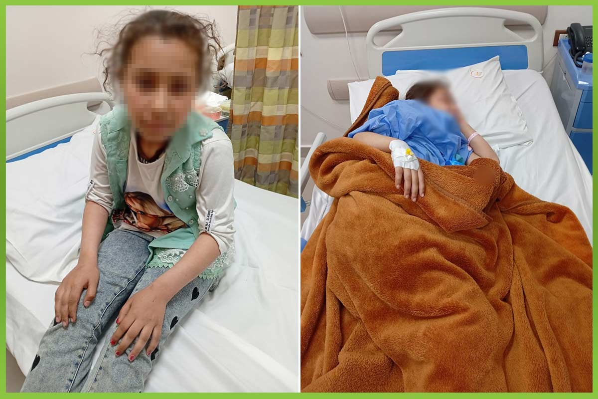 المؤسسة العربية الافريقية