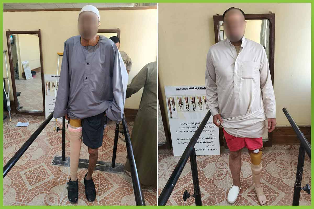 المؤسسة العربية الافريقية