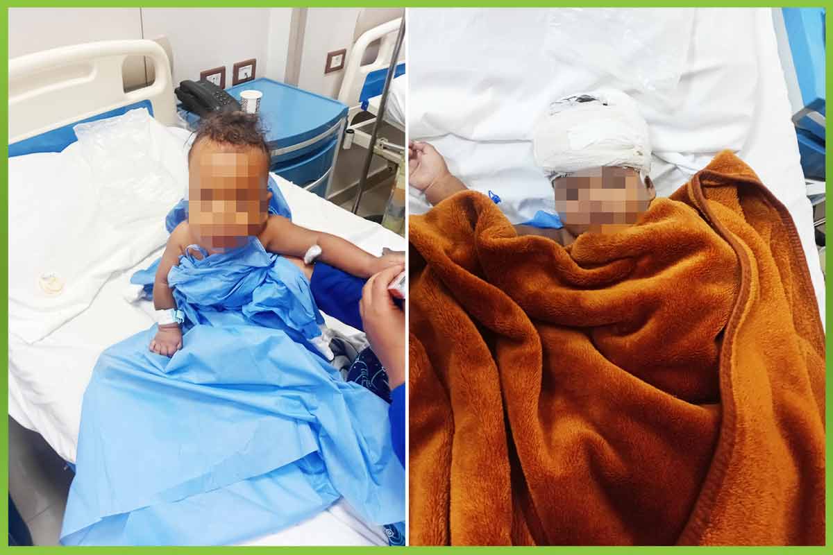 المؤسسة العربية الافريقية