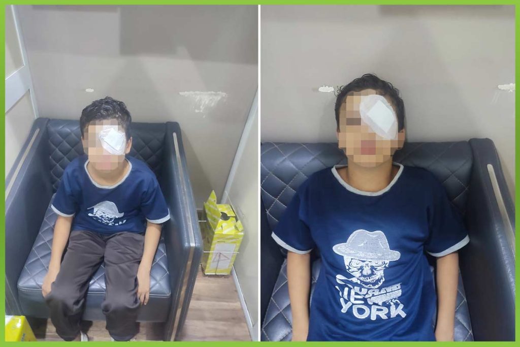 المؤسسة العربية الافريقية