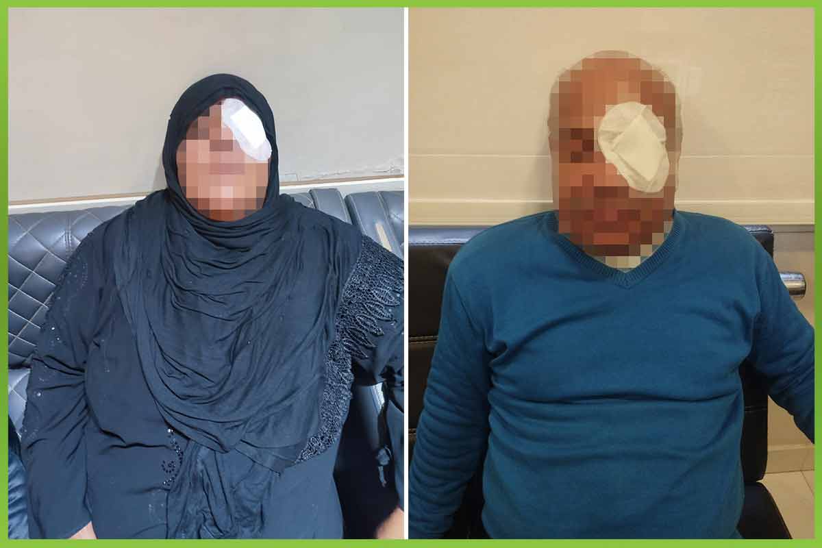 المؤسسة العربية الافريقية