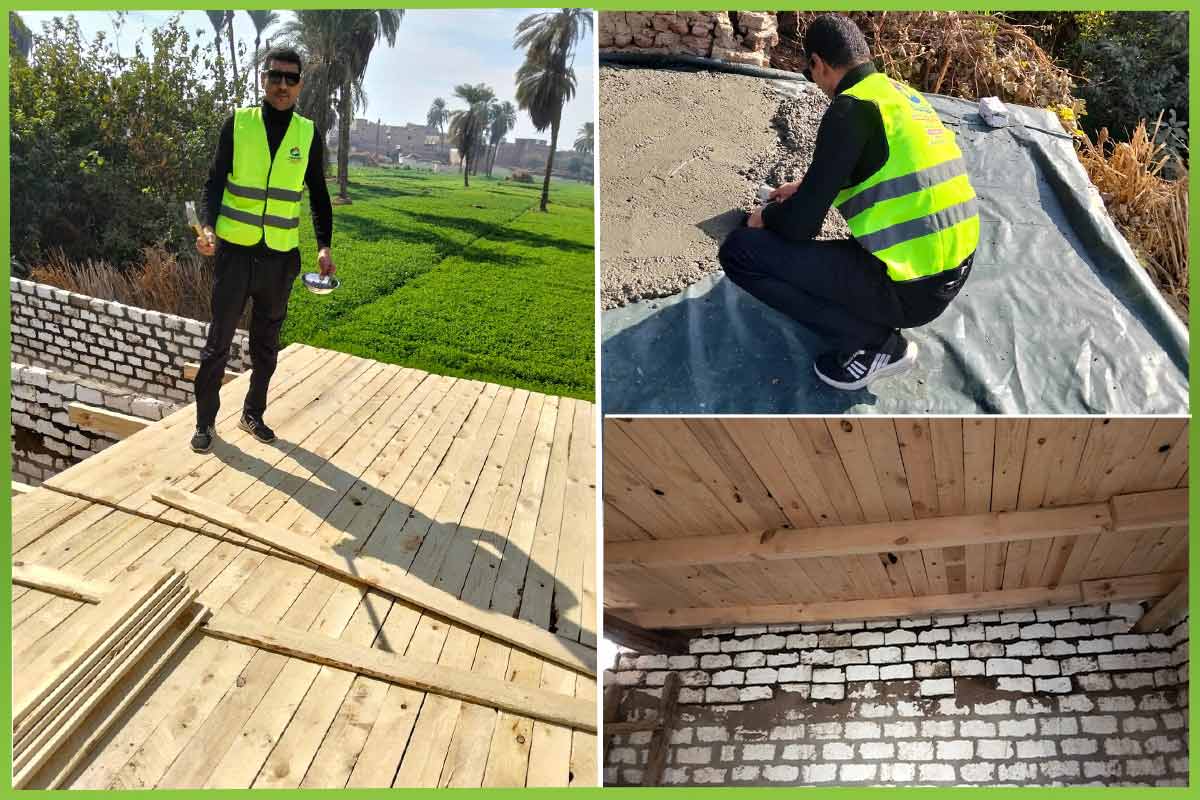 المؤسسة العربية الافريقية