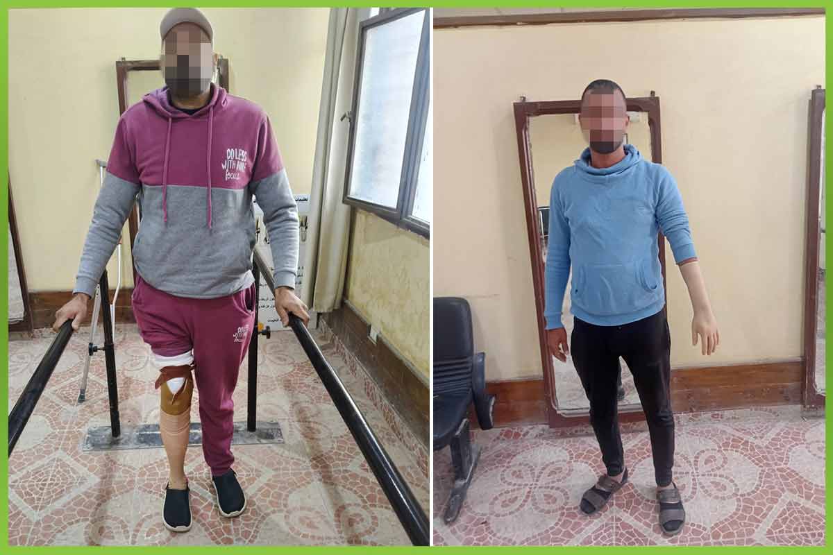 المؤسسة العربية الافريقية