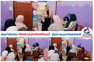 المؤسسة العربية الإفريقية