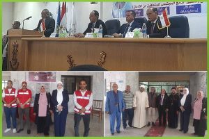المؤسسة العربية الافريقية