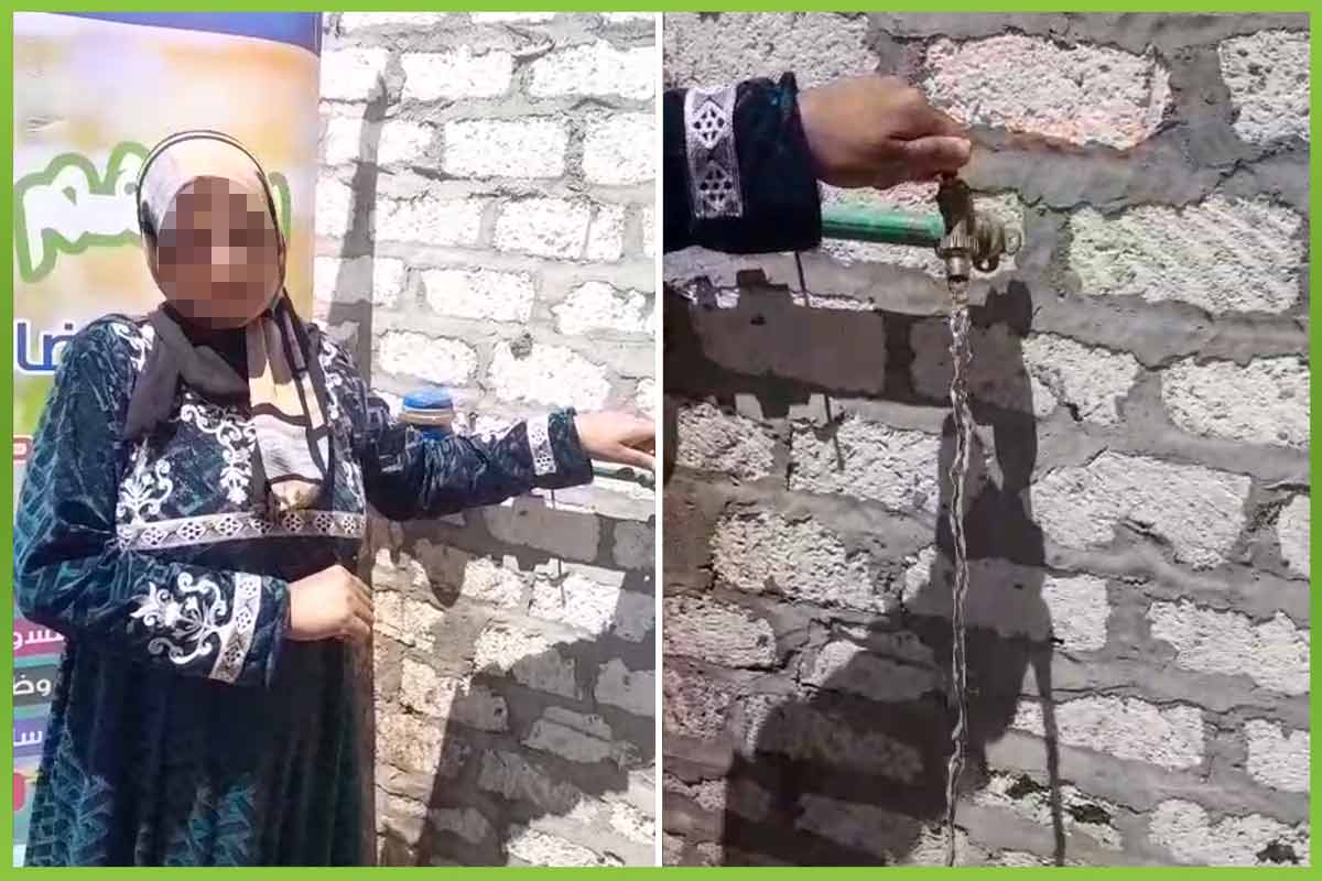 المؤسسة العربية الافريقية