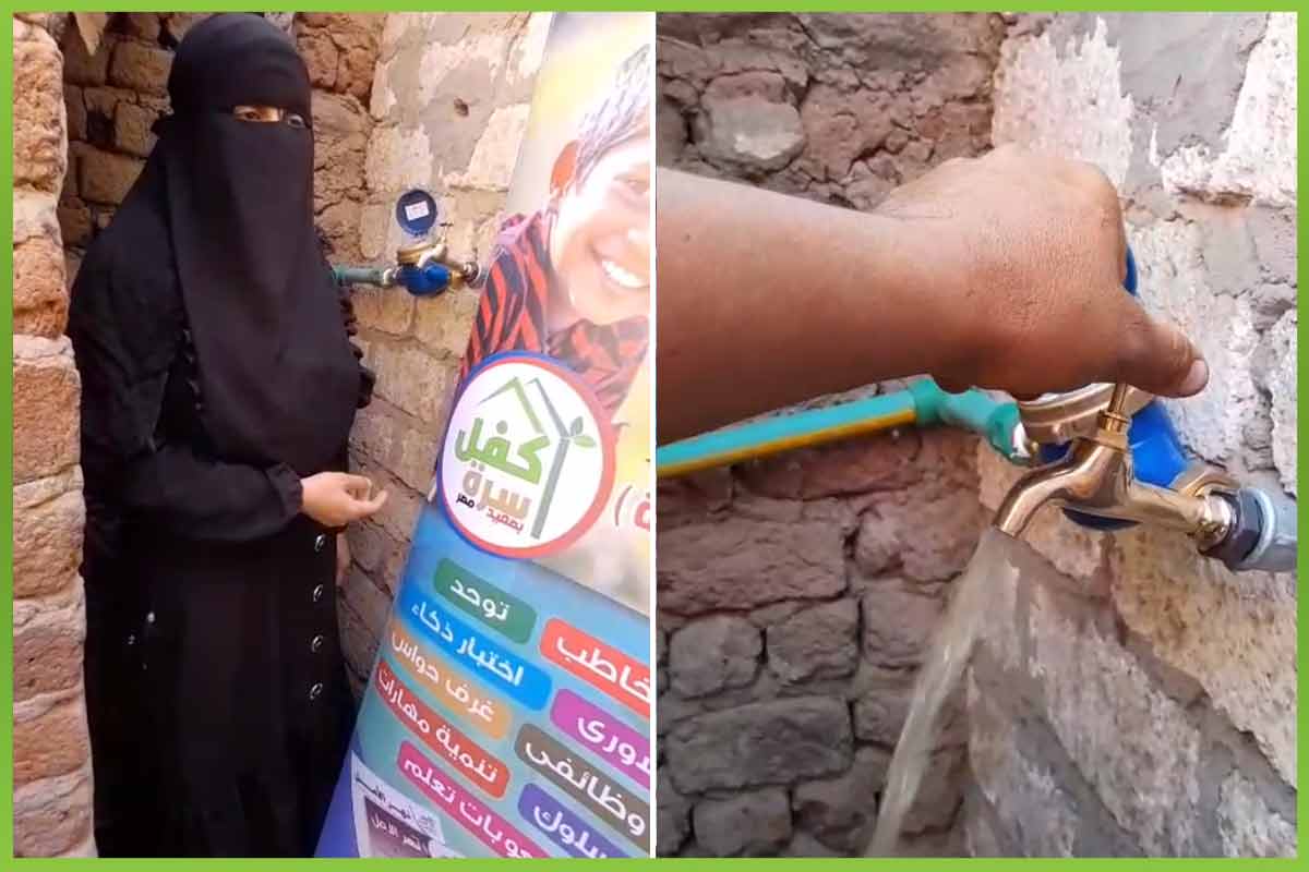 المؤسسة العربية الافريقية