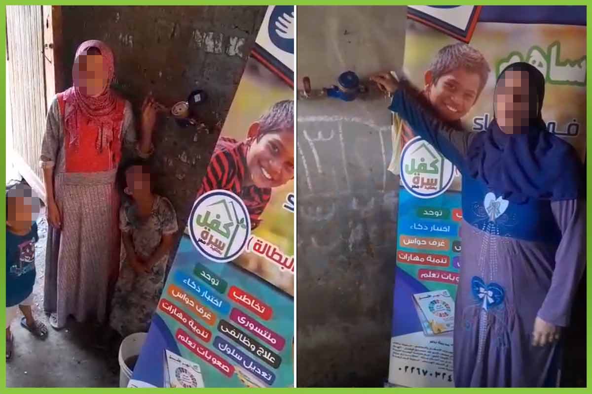 المؤسسة العربية الافريقية