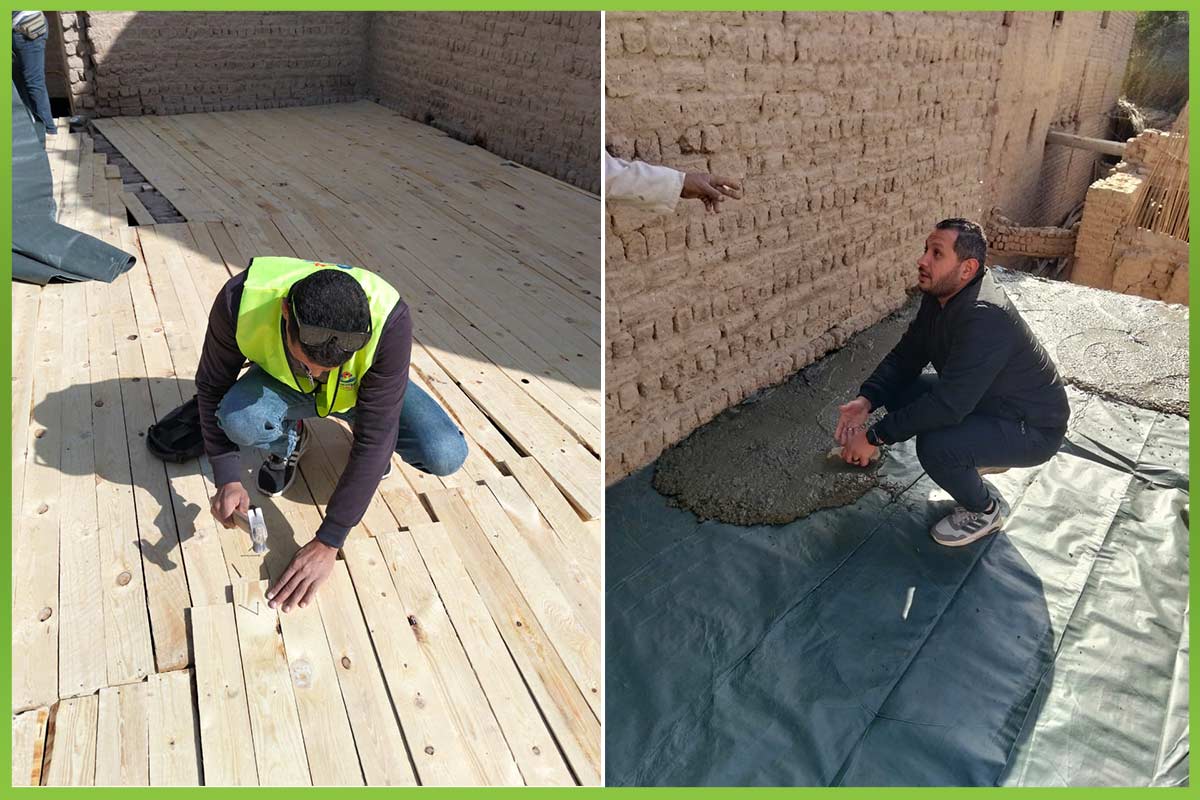 المؤسسة العربية الافريقية