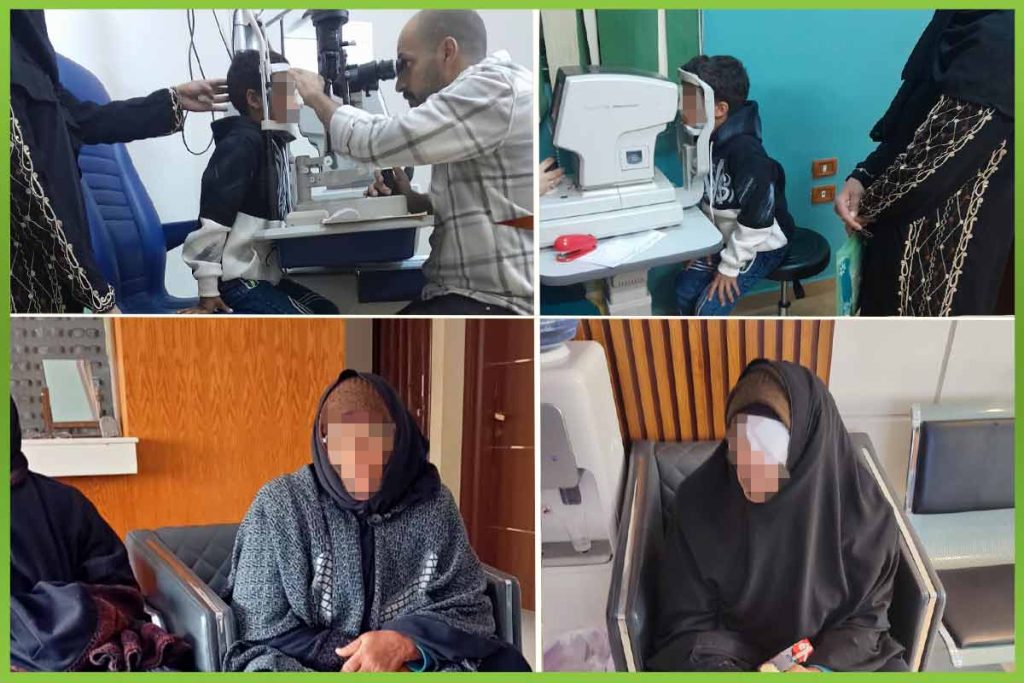 المؤسسة العربية الافريقية