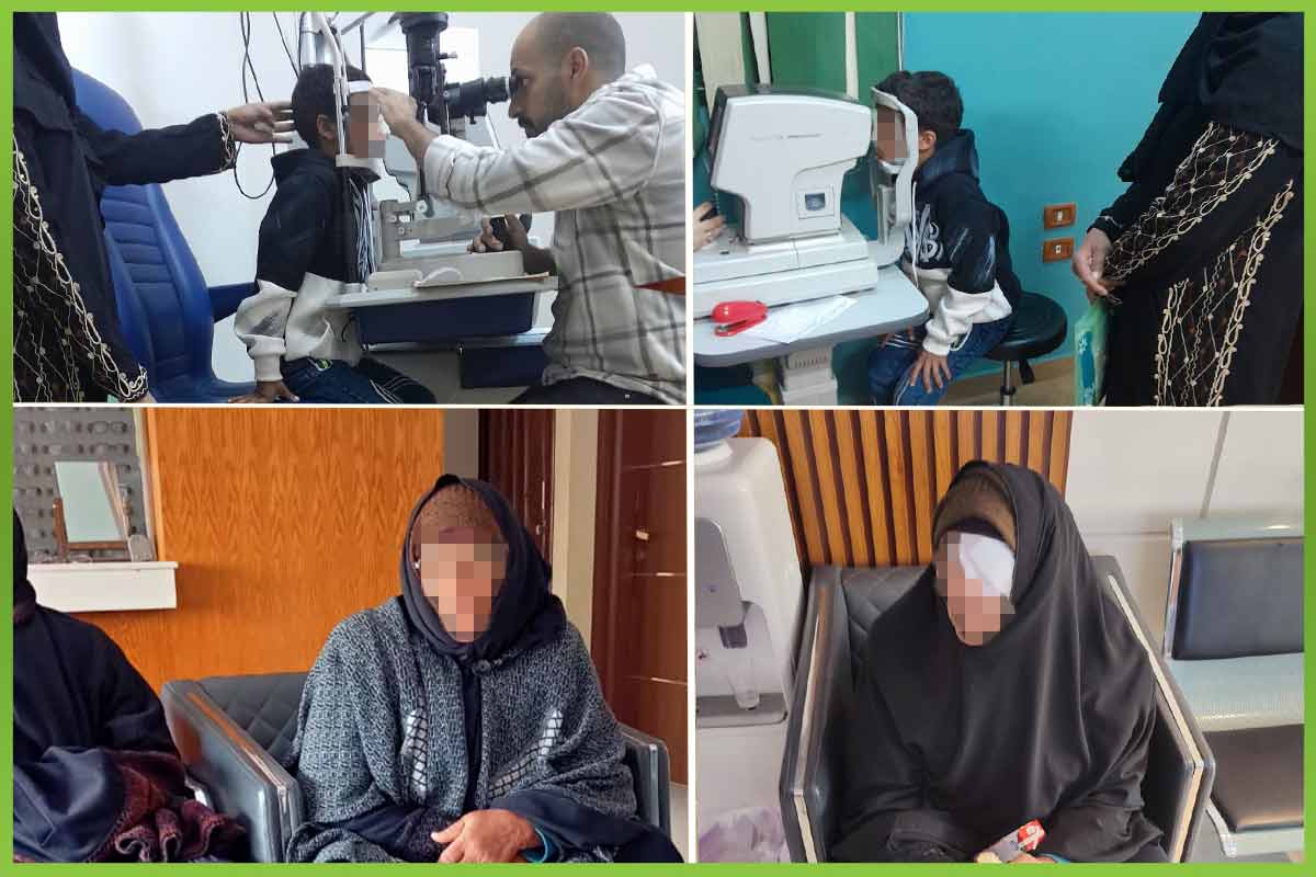 المؤسسة العربية الافريقية