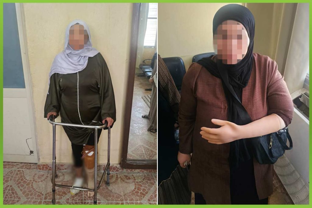 المؤسسة العربية الافريقية