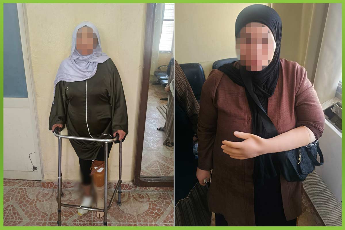 المؤسسة العربية الافريقية