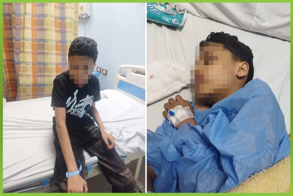 المؤسسة العربية الافريقية