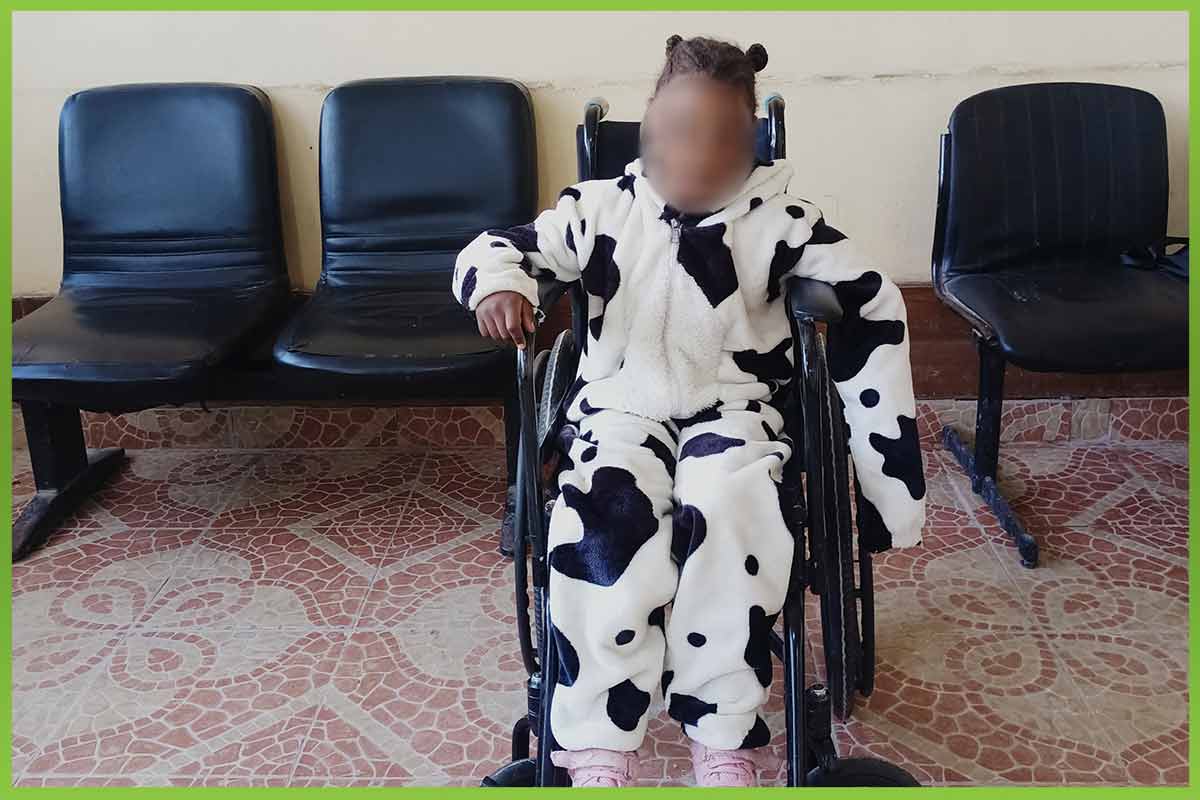 chair المؤسسة العربية الافريقية