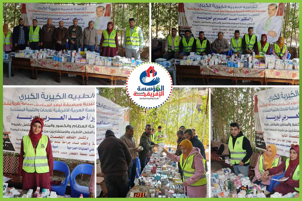 المؤسسة العربية الافريقية