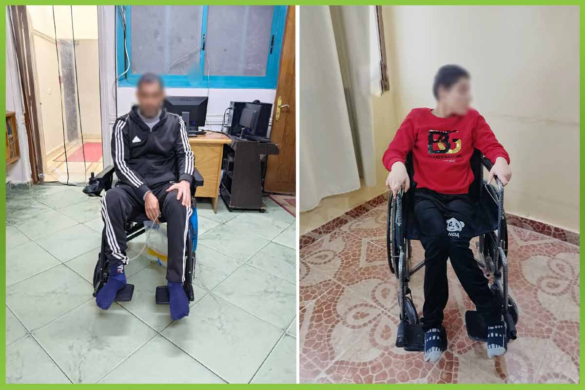 chairs المؤسسة العربية الافريقية