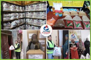 المؤسسة العربية الافريقية