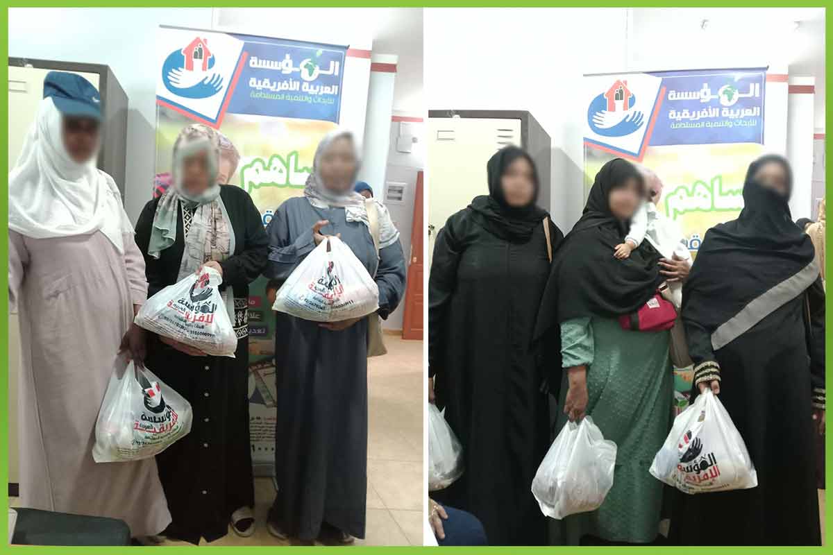 المؤسسة العربية الافريقية