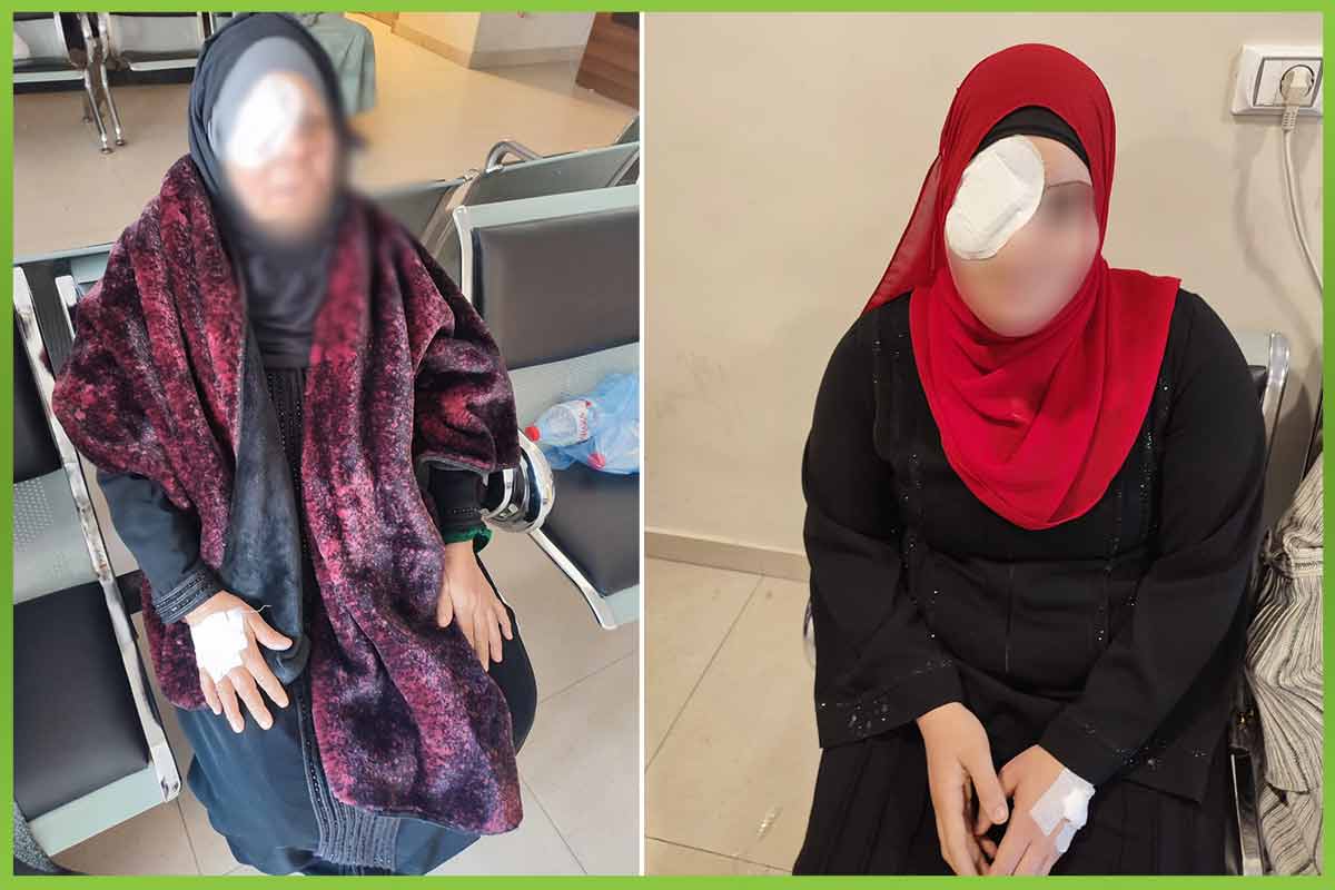 eyes المؤسسة العربية الافريقية