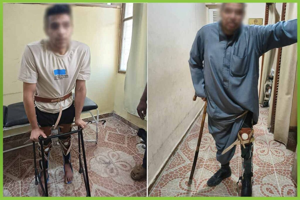 المؤسسة العربية الافريقية
