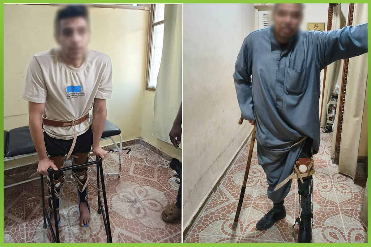 المؤسسة العربية الافريقية